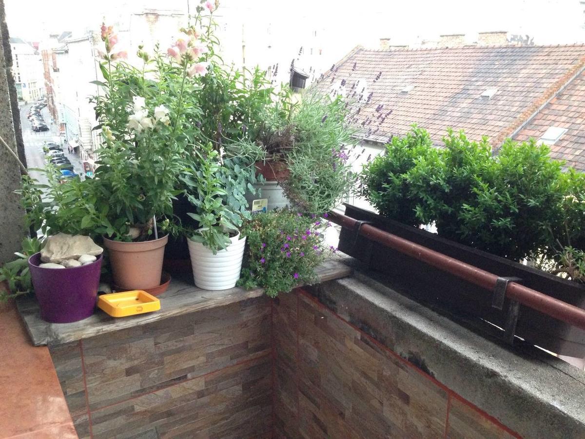 בודפשט Lonyay Street Apartment מראה חיצוני תמונה